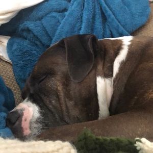 Meet your Posher, Angela